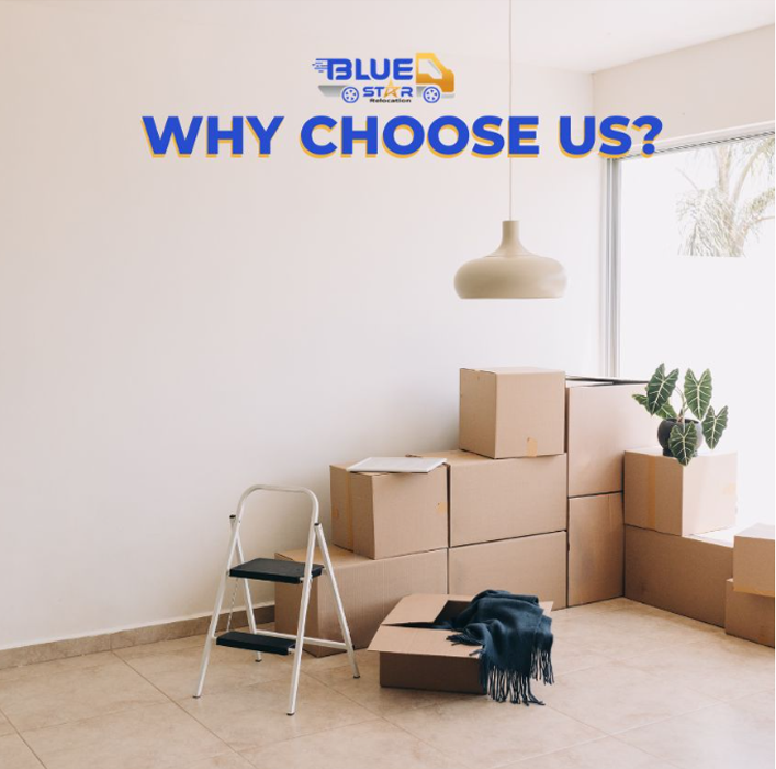 Why Choose Us?